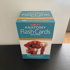 Anatomy flash cards